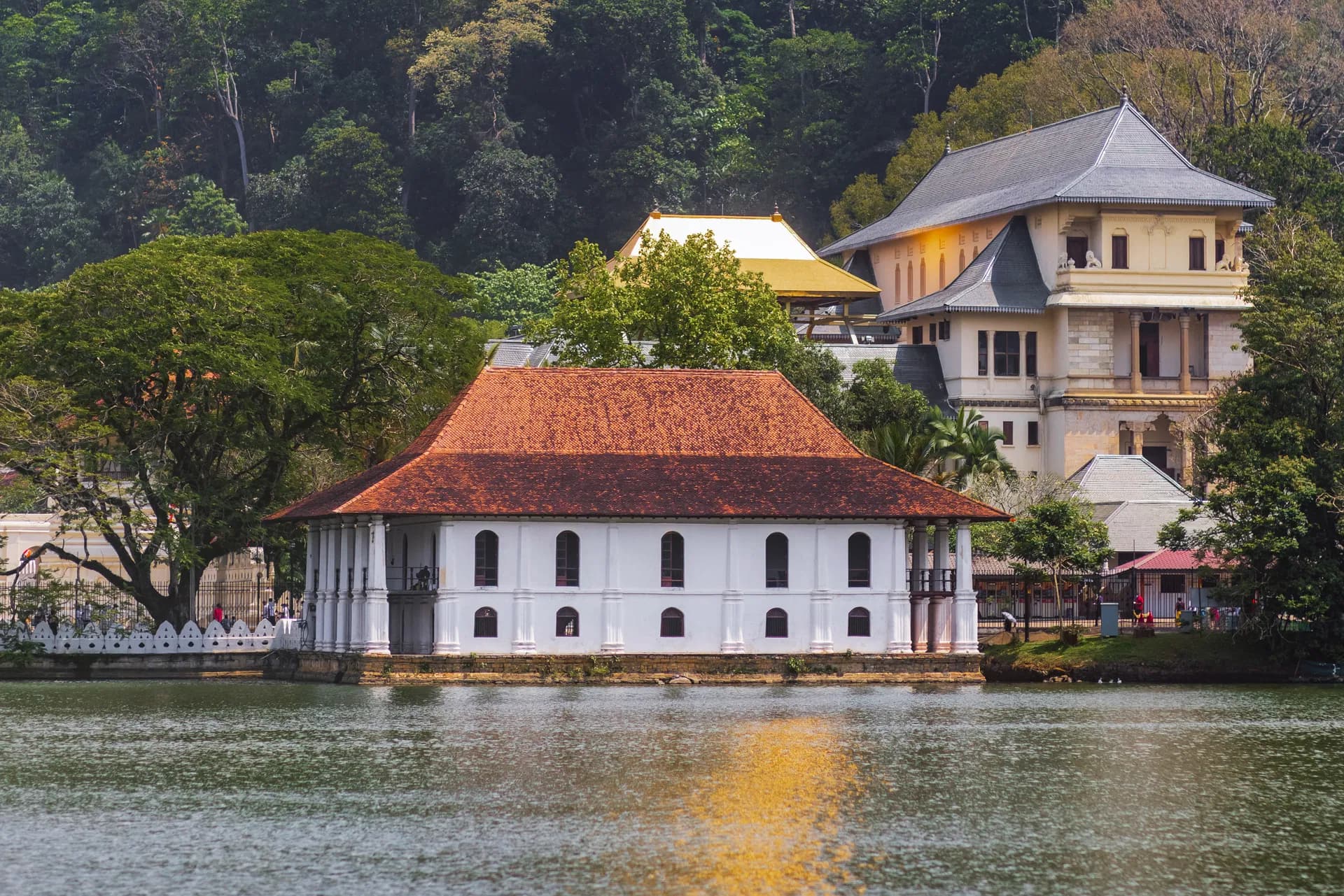 Collage of Sri Lanka's culture and coast