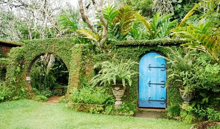 Scenic view of Brief Garden