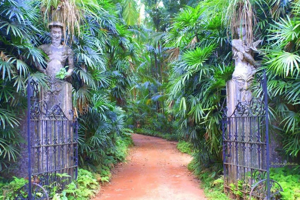 Brief Garden
