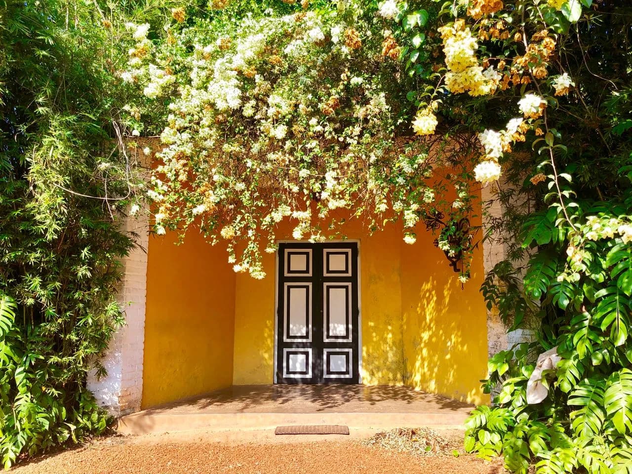 Brief Garden