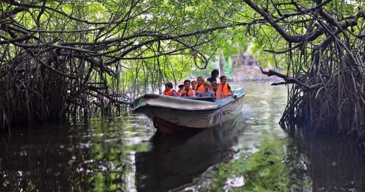 Madu River