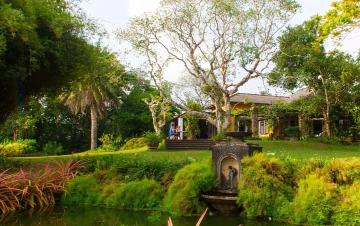 Brief Garden landscape with tropical plants