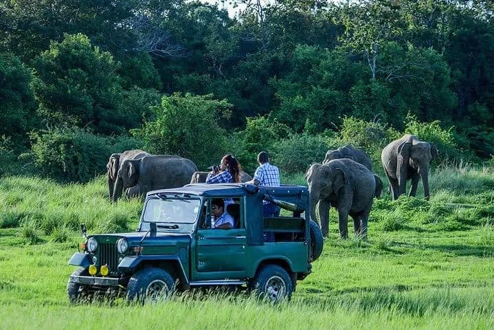 Safari jeep in Udawalawe