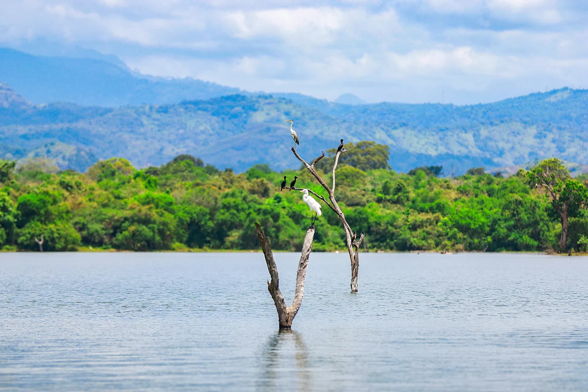lake in Udawalawe National Park