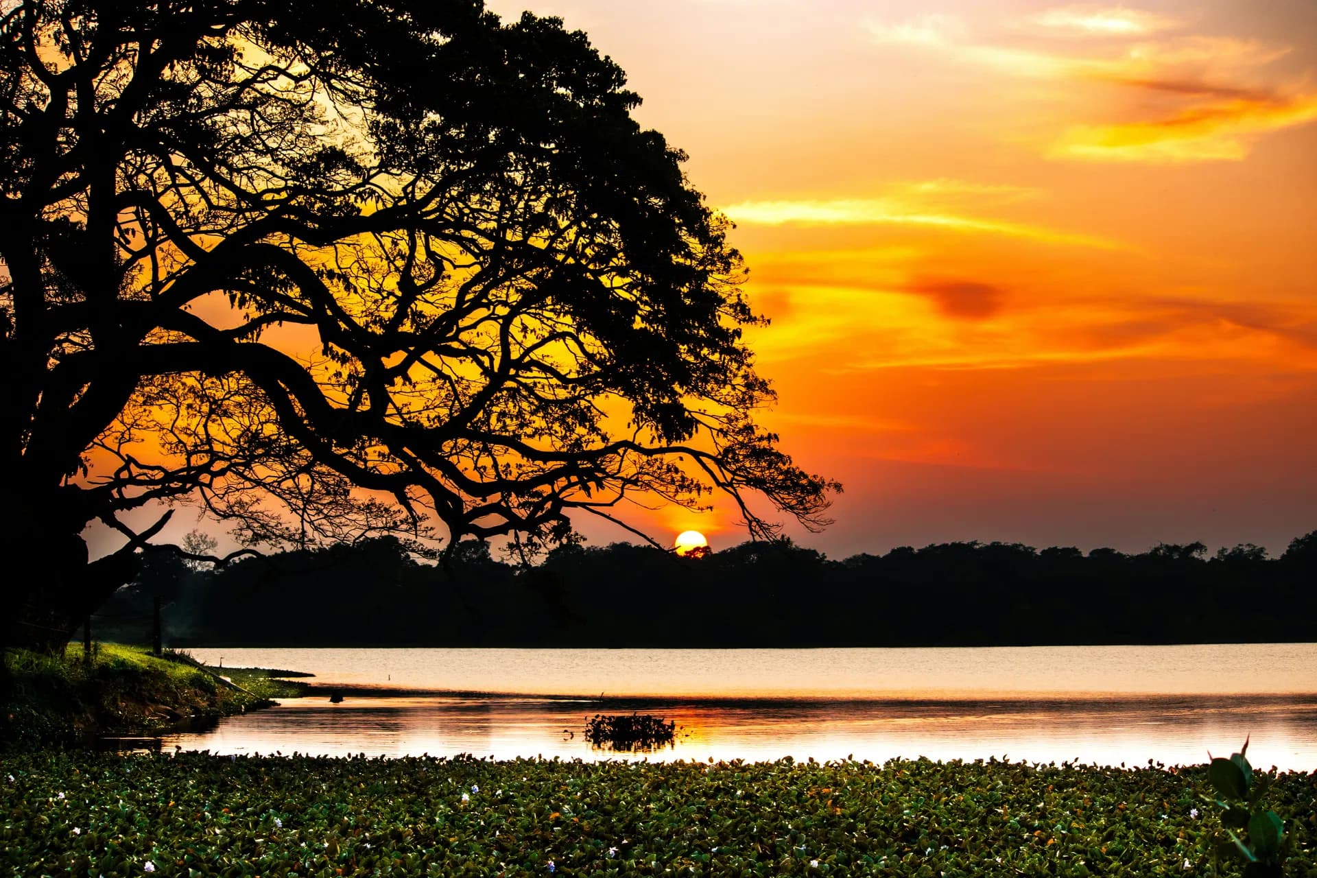 Wilpattu National Park safari adventure with diverse wildlife sightings