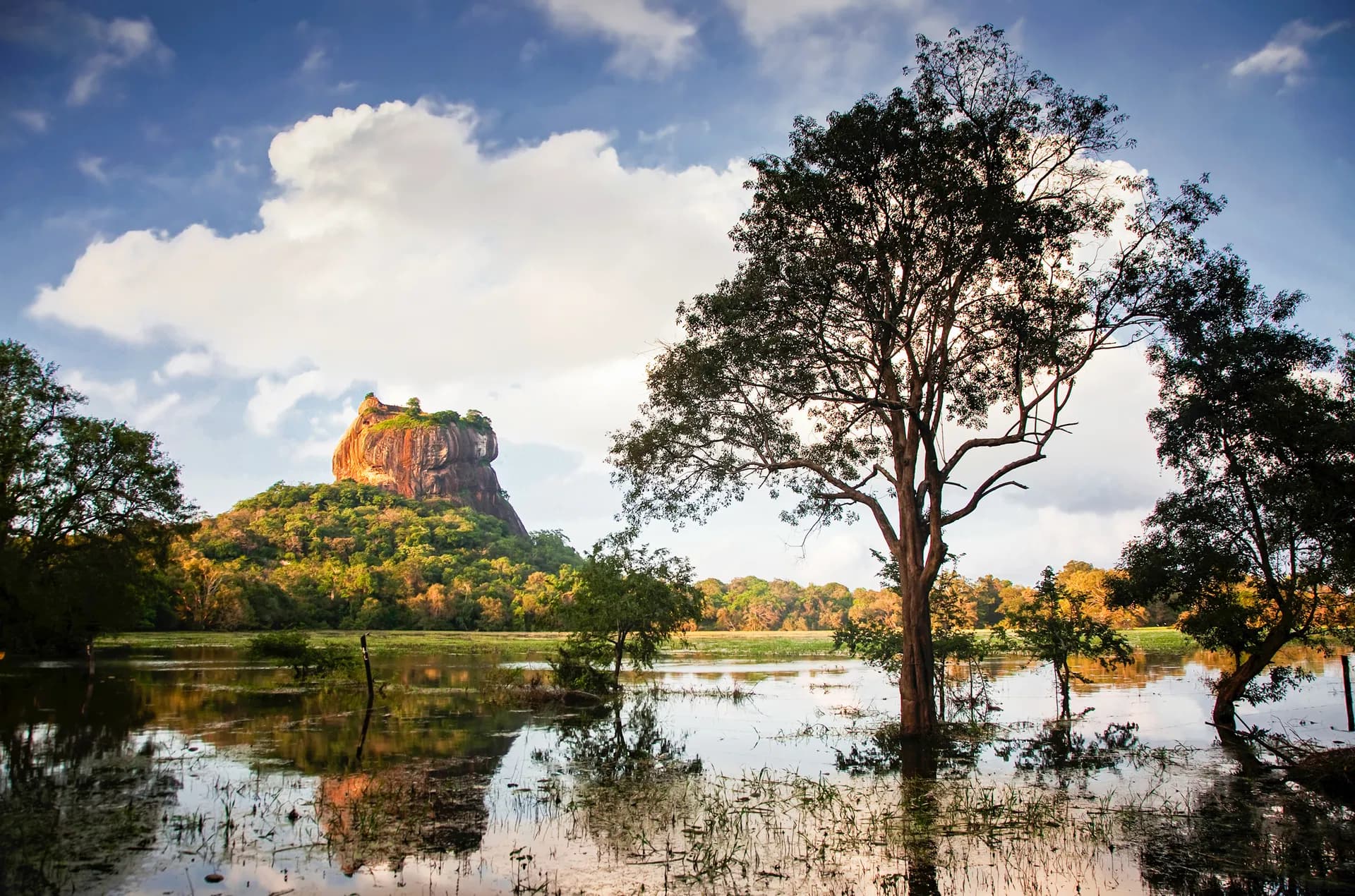 Sigiriya Lion Rock fortress in Sri Lanka