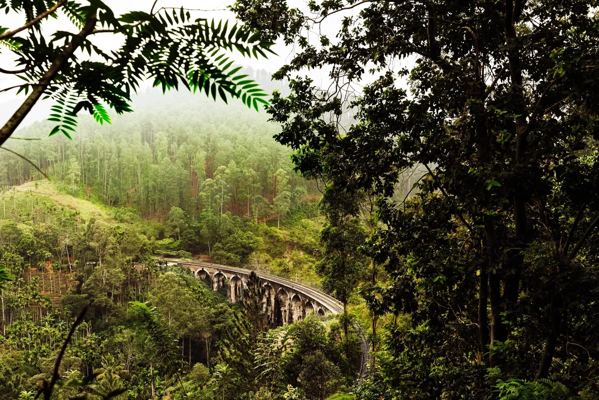 Blue train passing through the Ella highlands