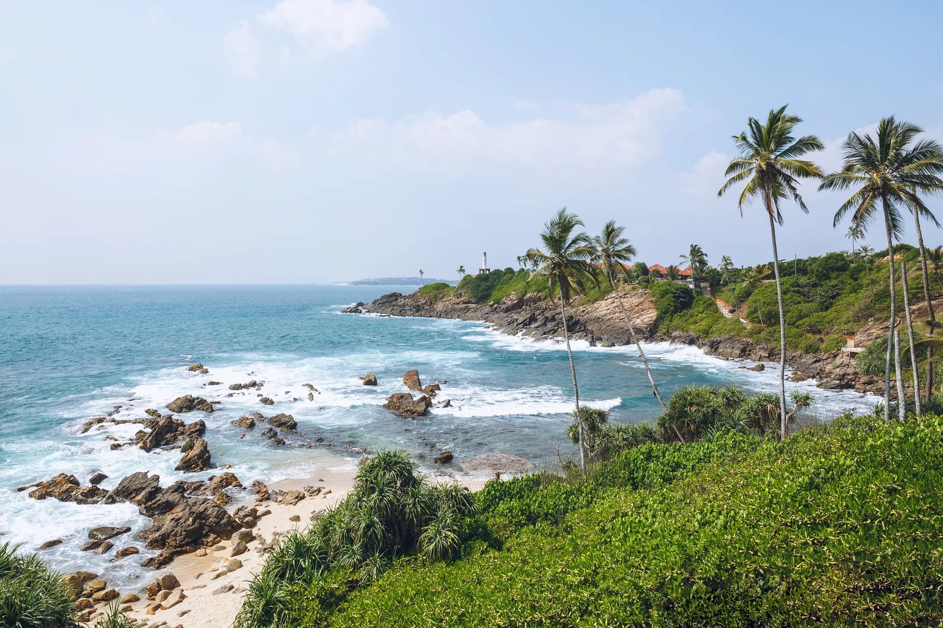 Palm trees lining the Mirissa coastline