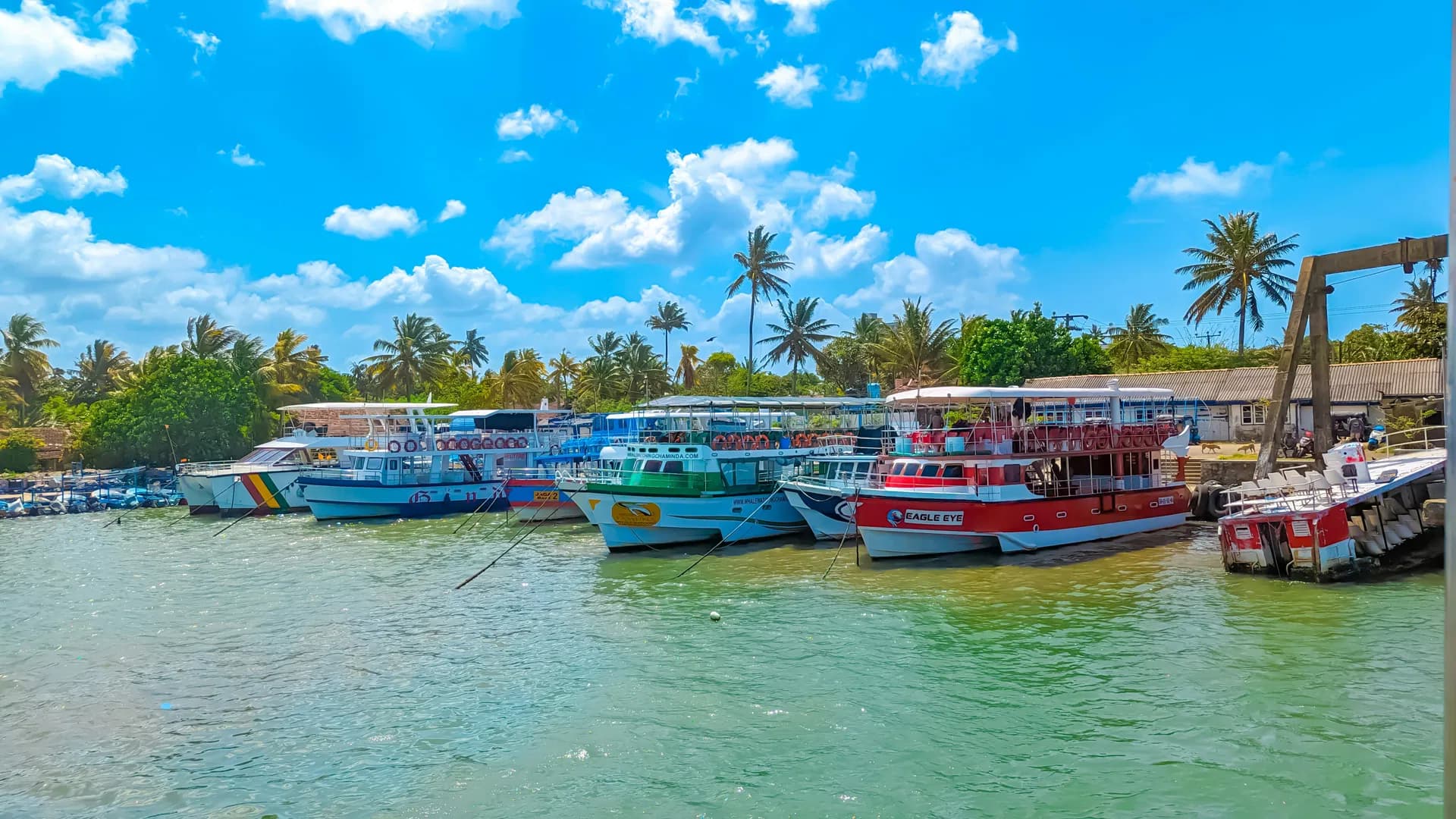 Coastal scene in Mirissa