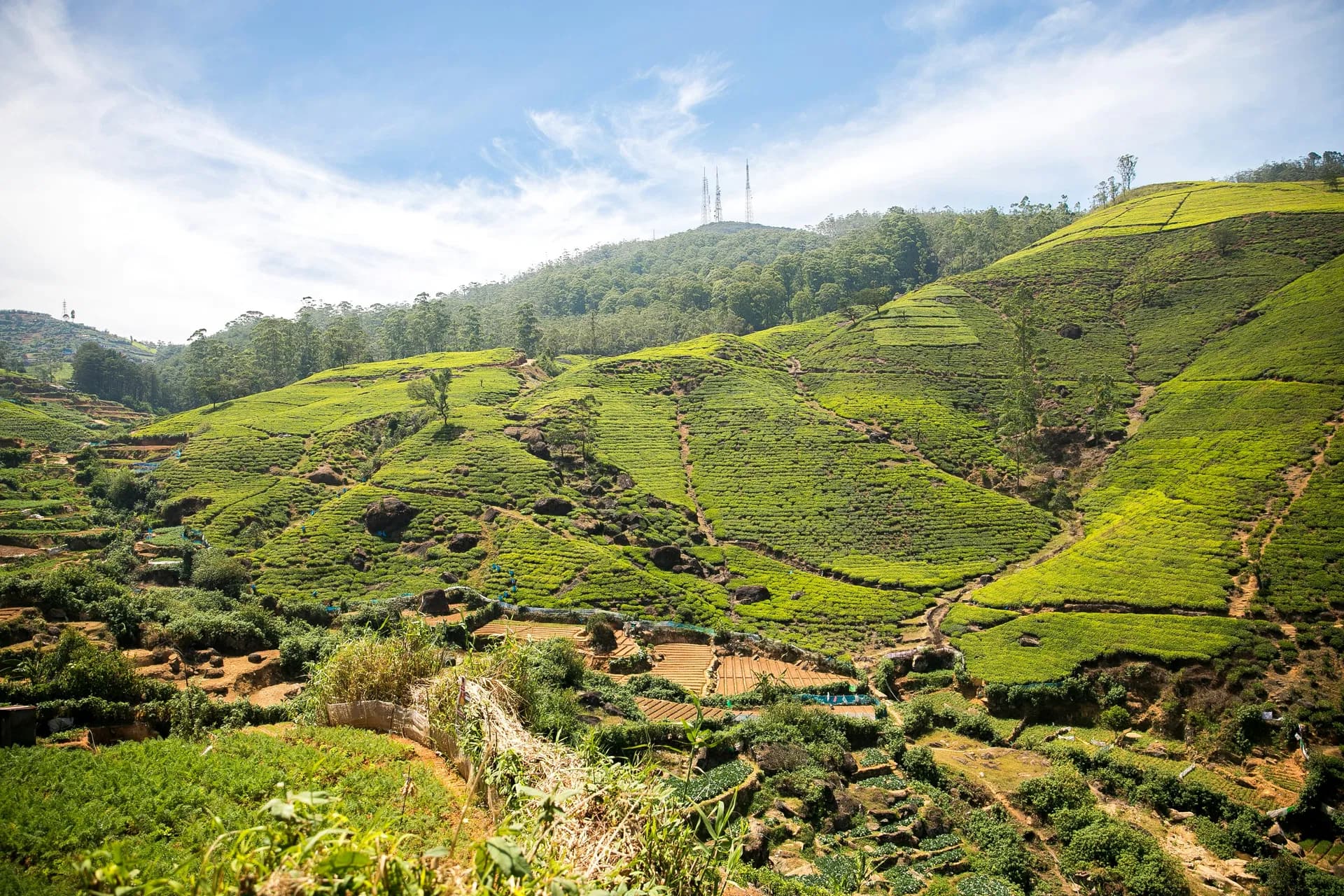 Mountain landscape in Nuwara Eliya