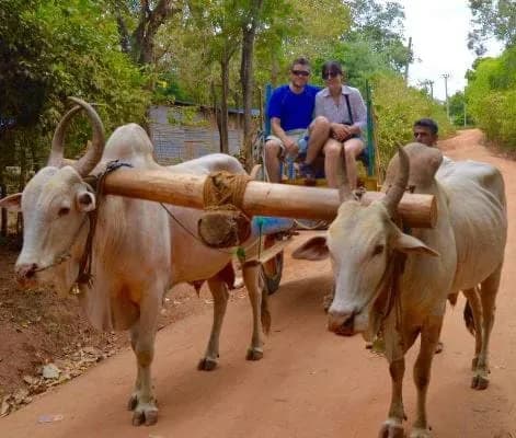 Village life in Hiriwadunna