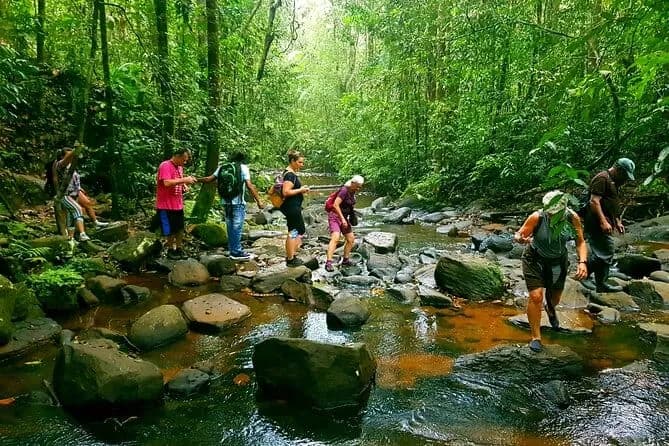 Guide leading trek in Sinharaja