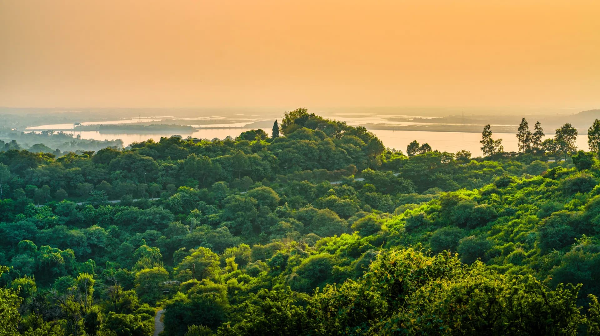 Scenic view of Sinharaja rainforest with lush greenery and dramatic sky