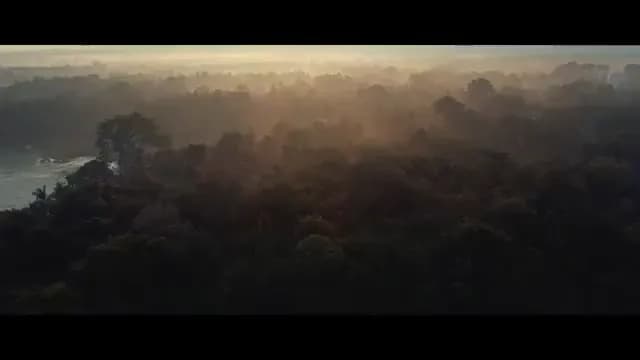 Hot air balloons floating over ancient royal gardens in Dambulla