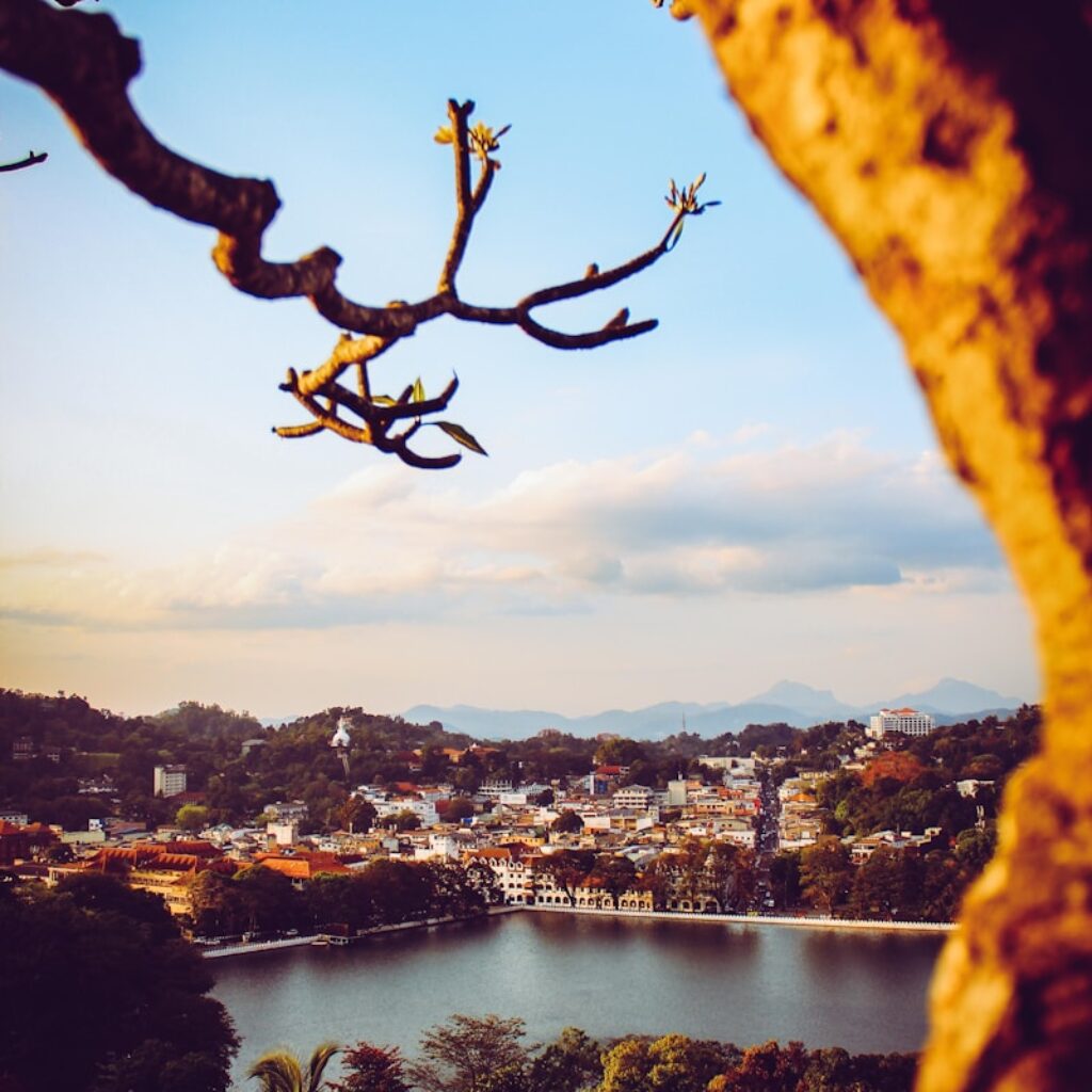 city skyline near body of water during daytime