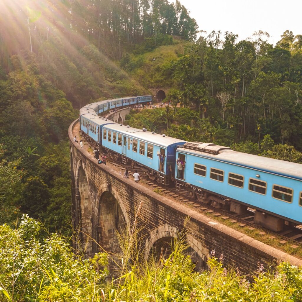 blue and white train on rail tracks